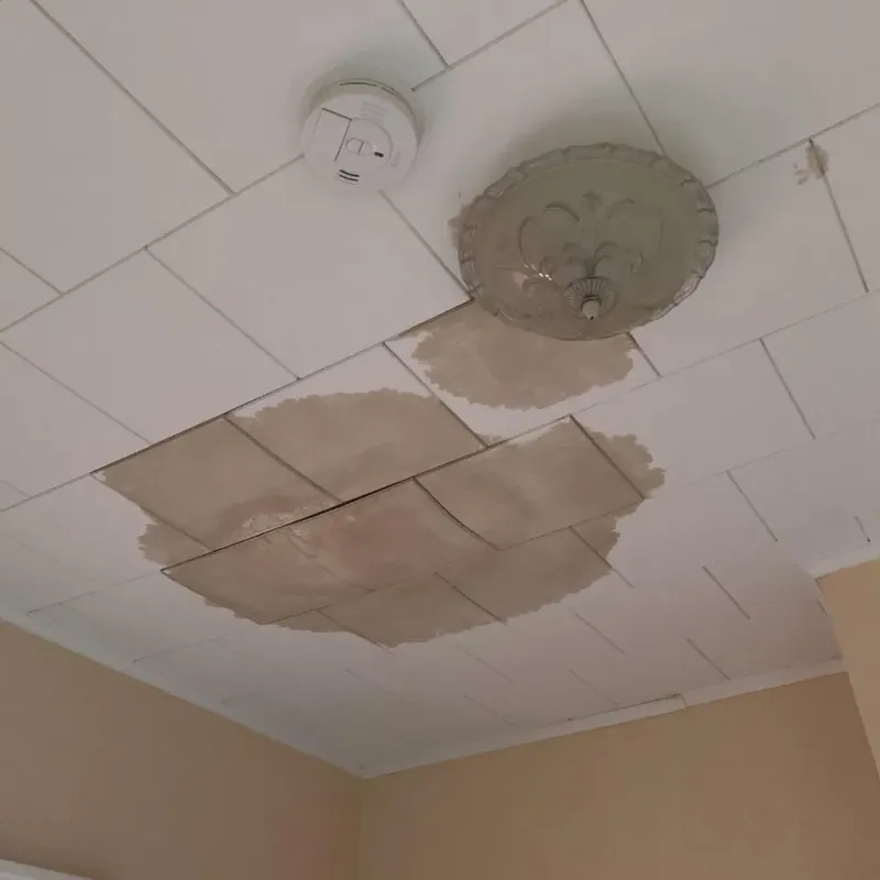 Ceiling Water Damage Repair in Sun Valley, PA