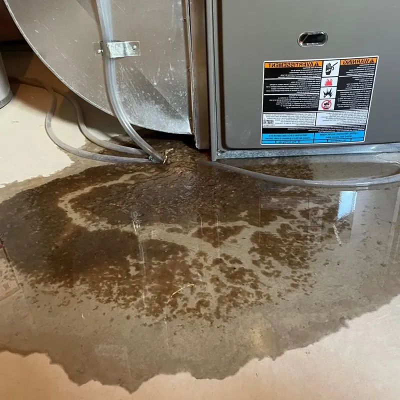 Pipe Burst and Leak Restoration in Sun Valley, PA